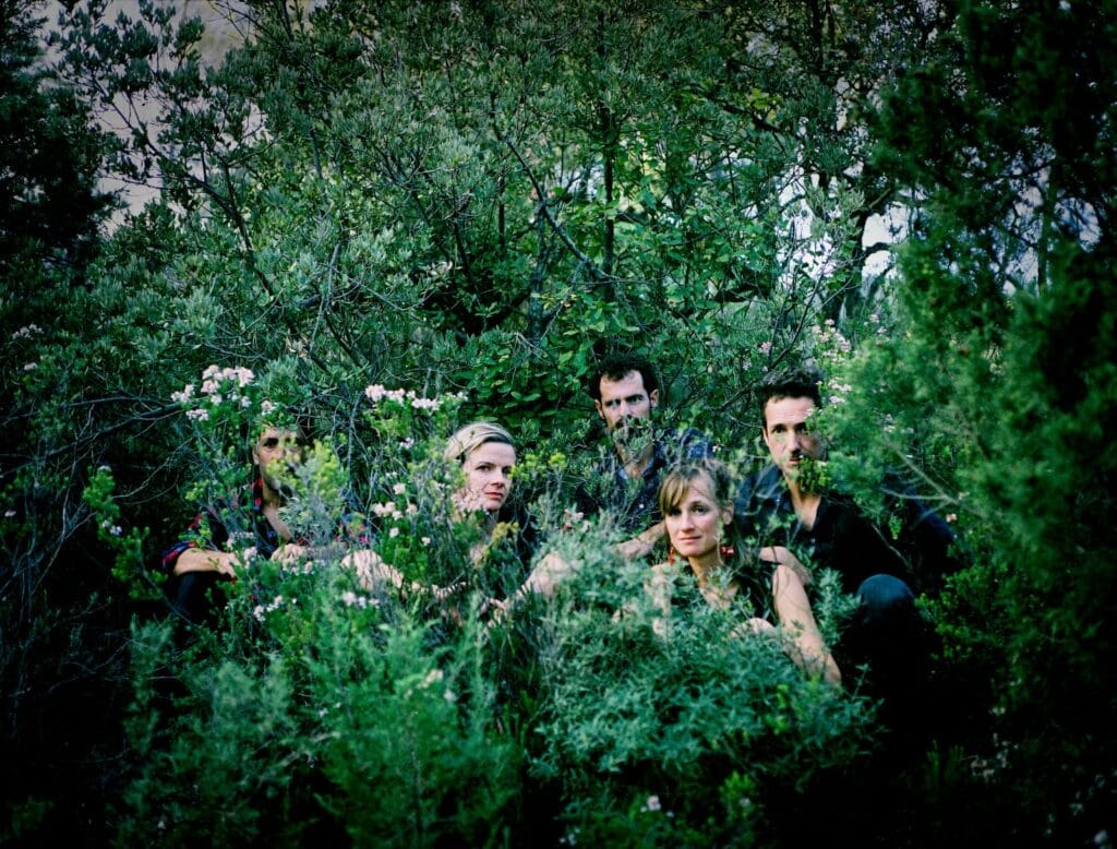 Nomad groupe musique concert vercors