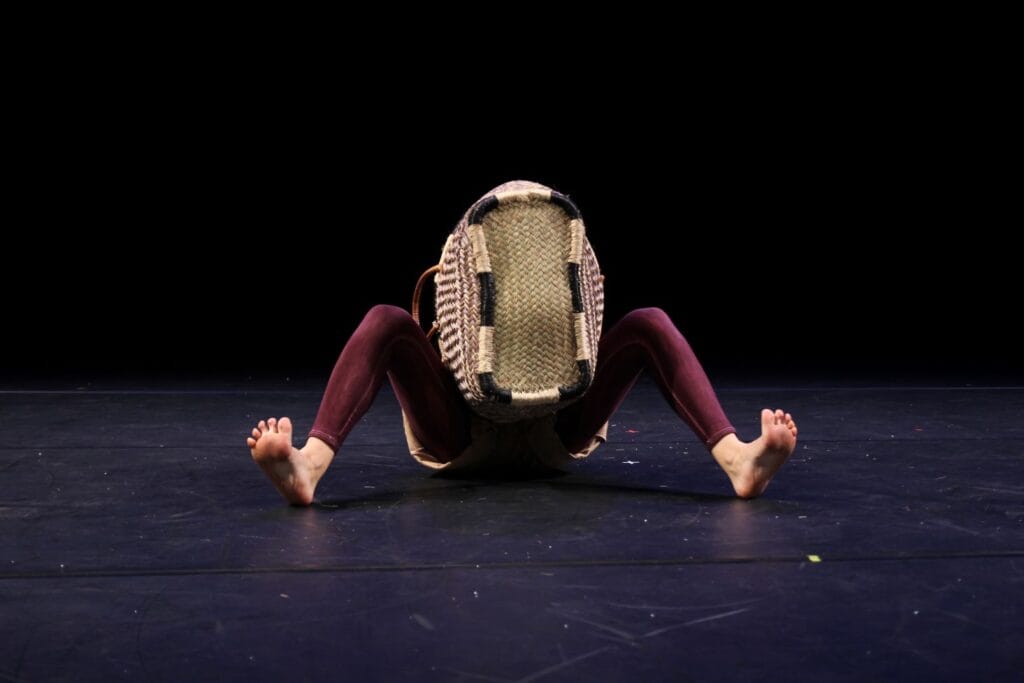 Panier piano tmg grenoble