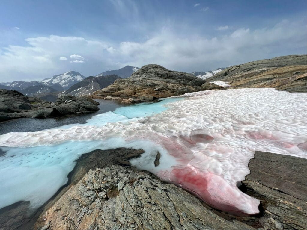 Rouge comme neige exposition museum grenoble