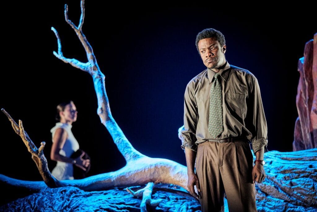 Ladistance theatre mc2 grenoble