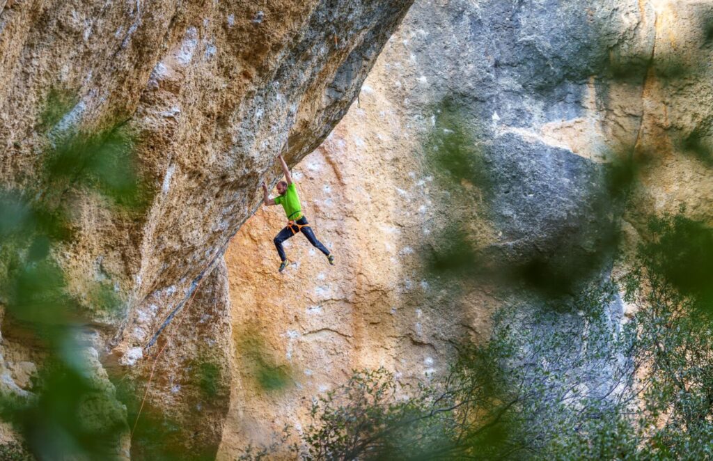 Festival film nature environnement grenoble