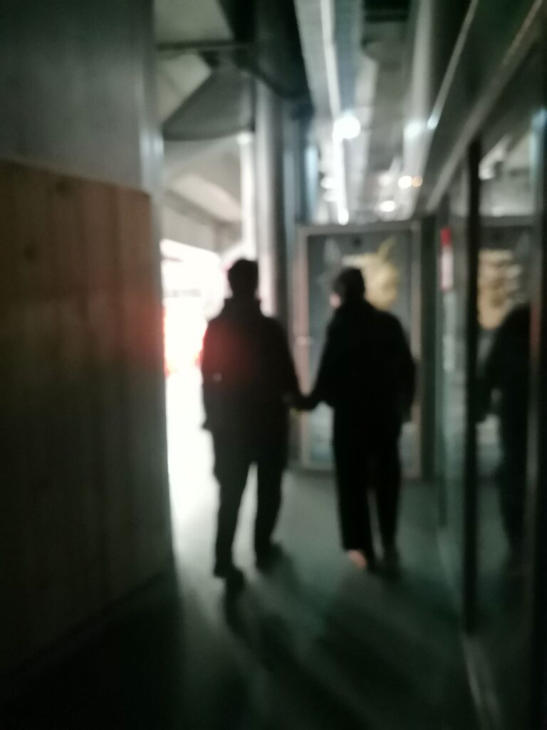 Ici meme balade sonore grenoble2