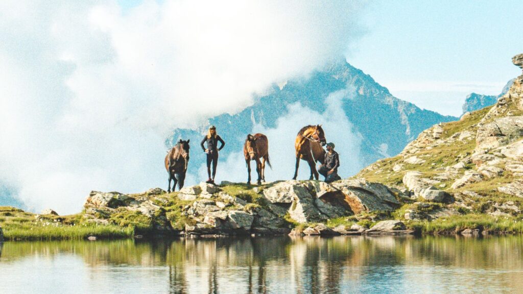 Festival film minimistan grenoble