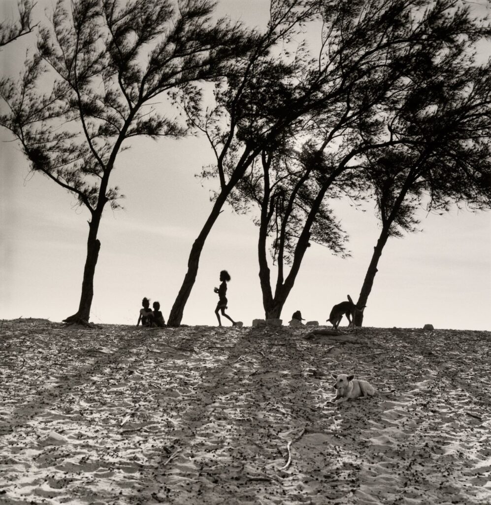 Bernard descamps exposition grenoble
