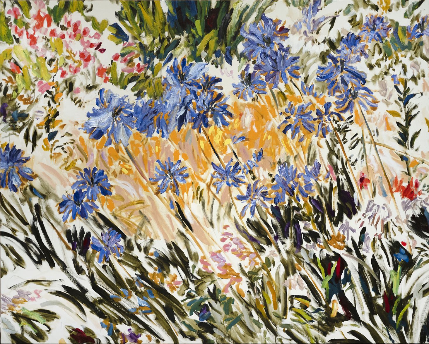 Gael davrinche expo grenoble