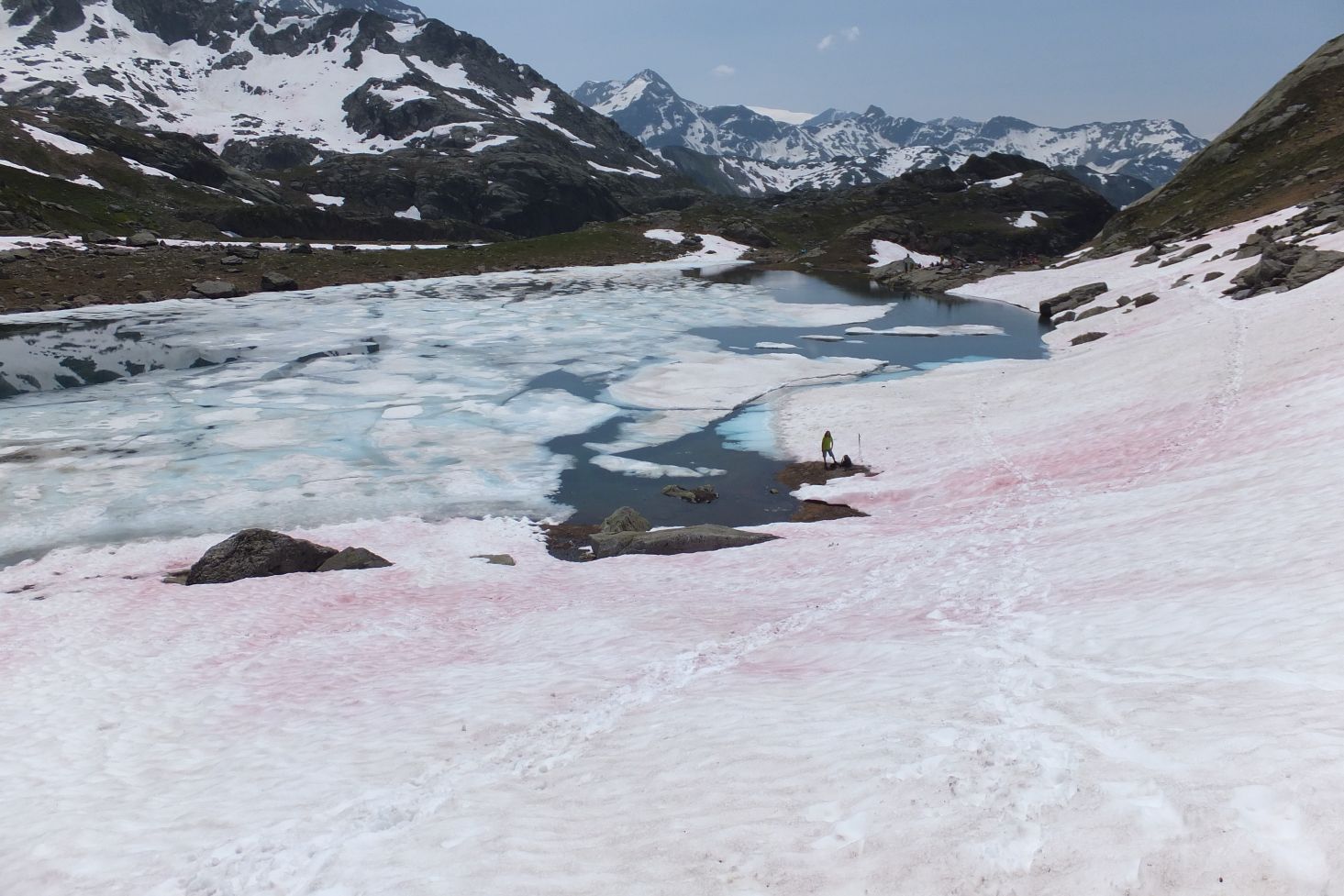 Neiges rouges phenomene grenoble