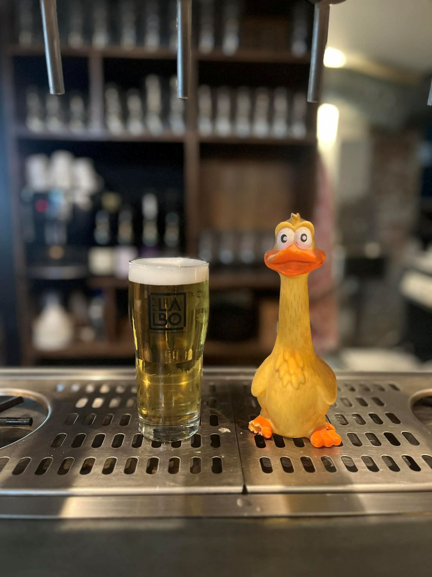 Ptit labo brocante grenoble