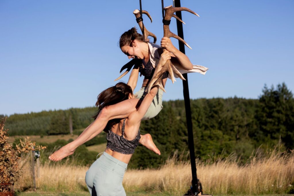 Faune libertivore creation hexagone grenoble