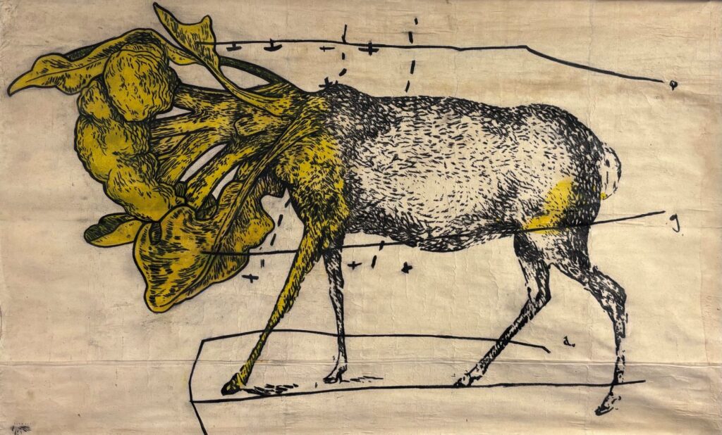 Imre sofalvi exposition vog fontaine