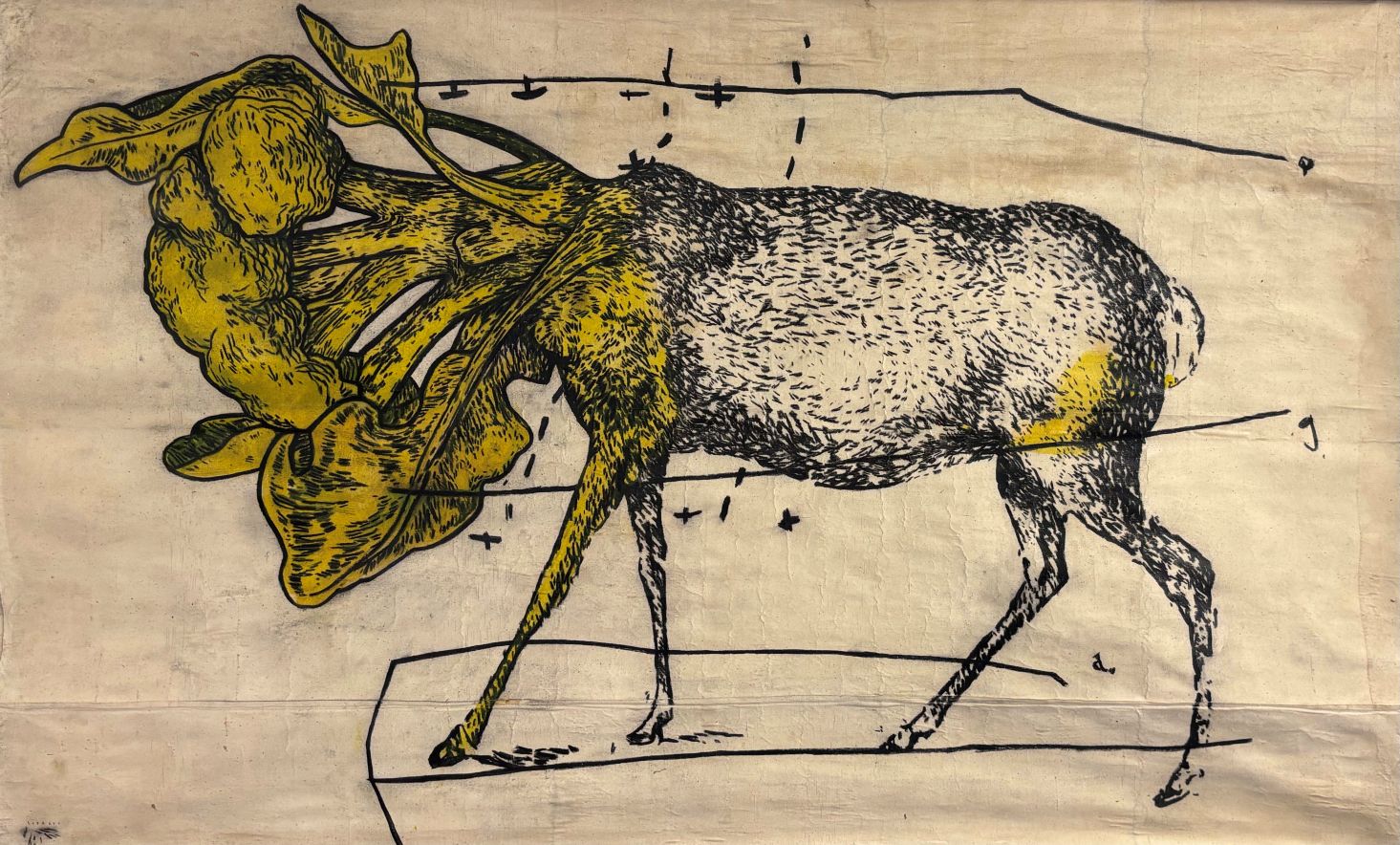 Imre sofalvi exposition vog fontaine