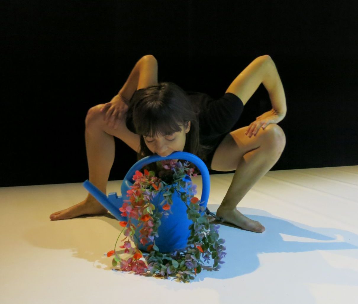 Sauvages spectacle danse espace 600 grenoble
